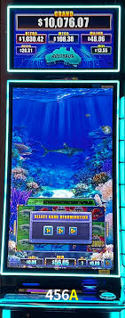 Bônus de Boas-vindas 456A